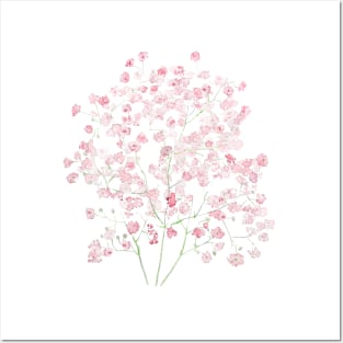 light pink Baby Breath Bouquet gypsophila watercolor painting Posters and Art